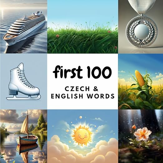 Cover of First 100 Czech & English Words