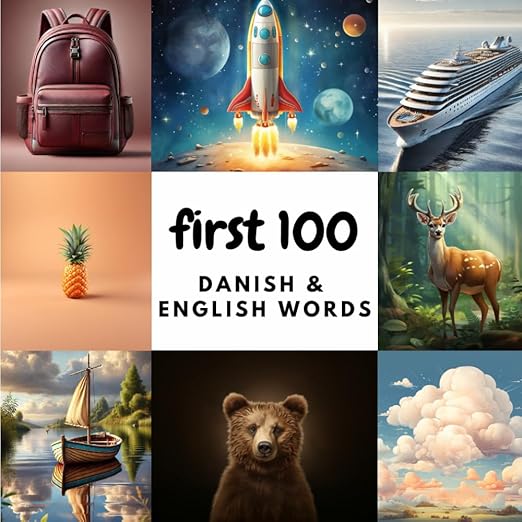 Cover of First 100 Danish & English Words