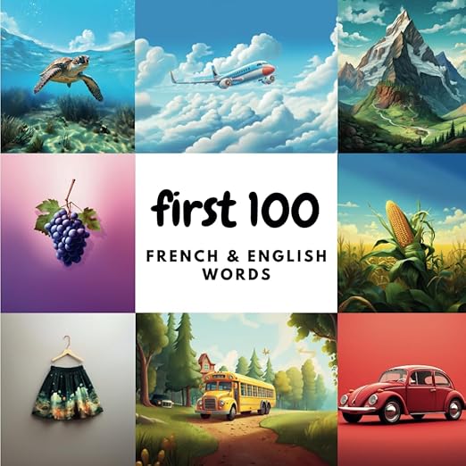 Cover of First 100 French & English Words