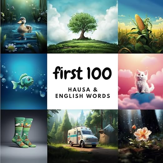 Cover of First 100 Hausa & English Words