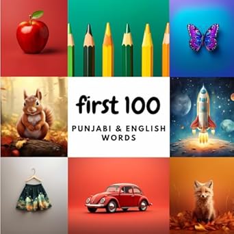 Cover of First 100 Punjabi & English Words