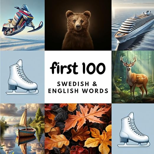 Cover of First 100 Swedish & English Words